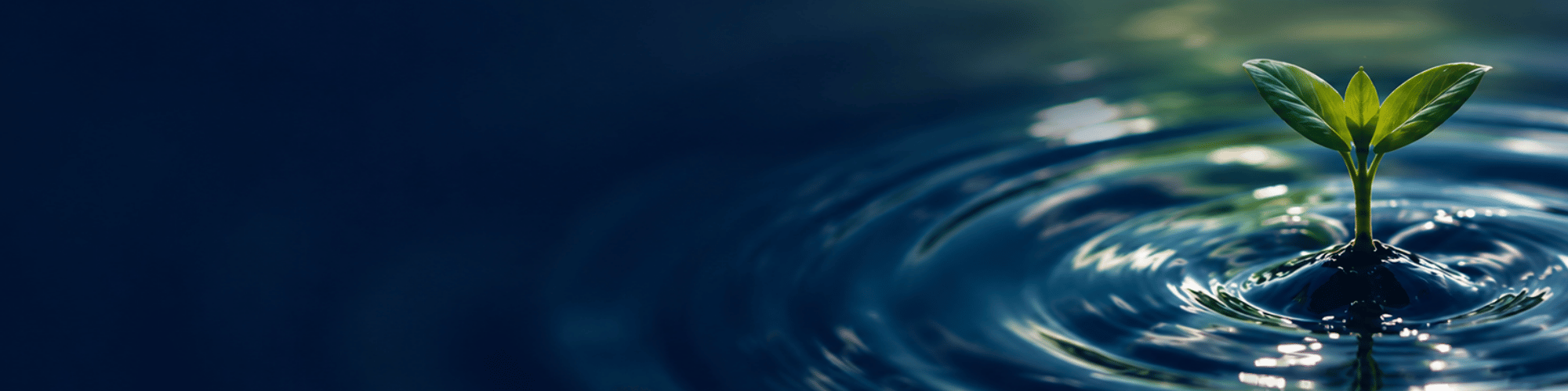 Untitled (2000 x 836 px) (2000 x 500 px)